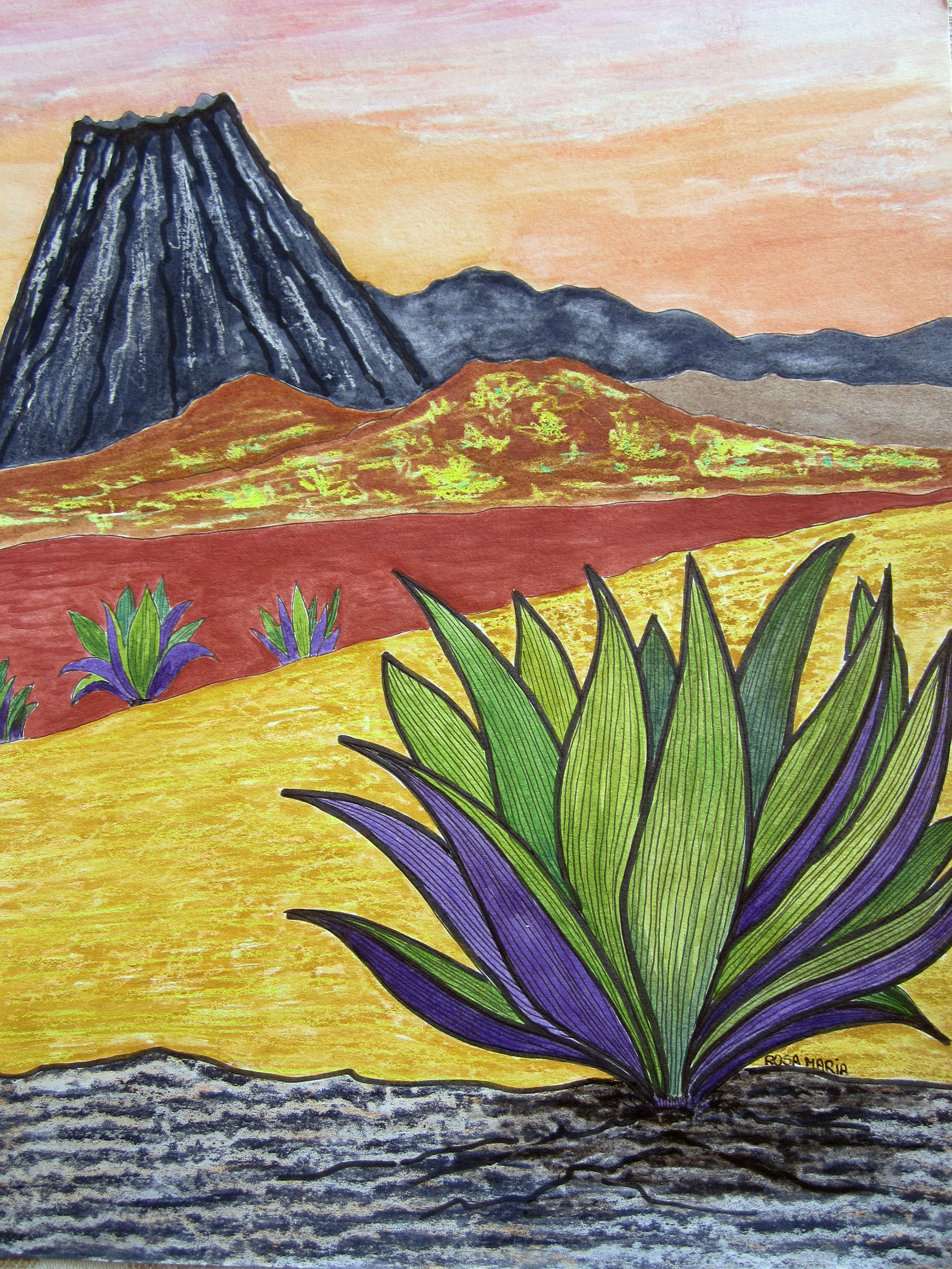 Agaves and Volcano
