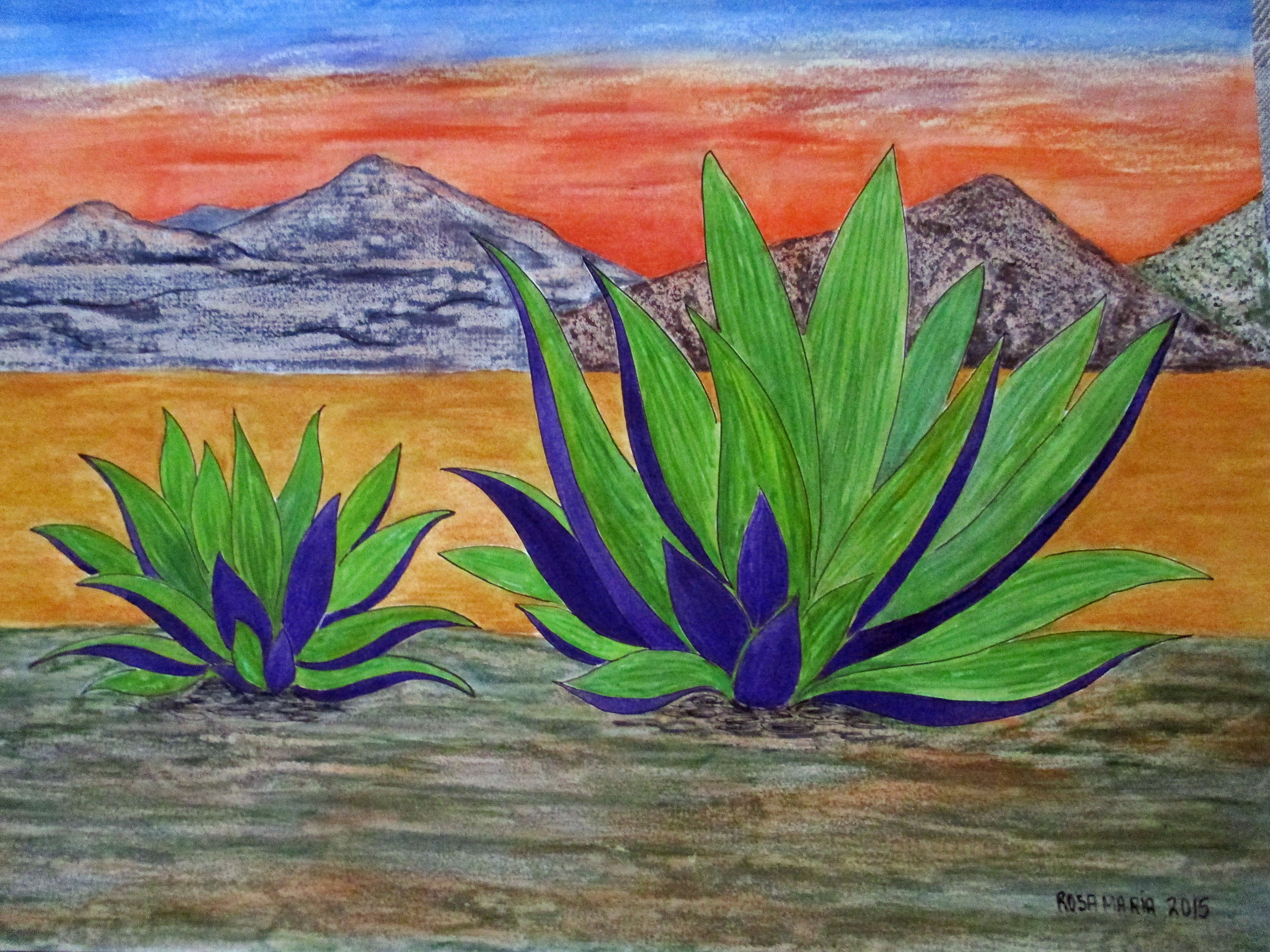 Desert Agaves